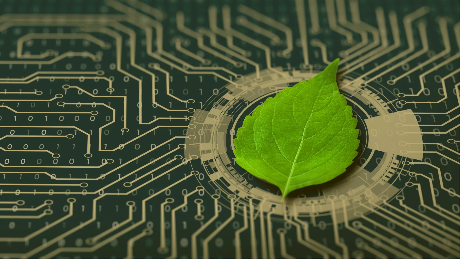 Sustainable IT Infrastructure: The Future of Efficient, Low-Carbon Digital Operations